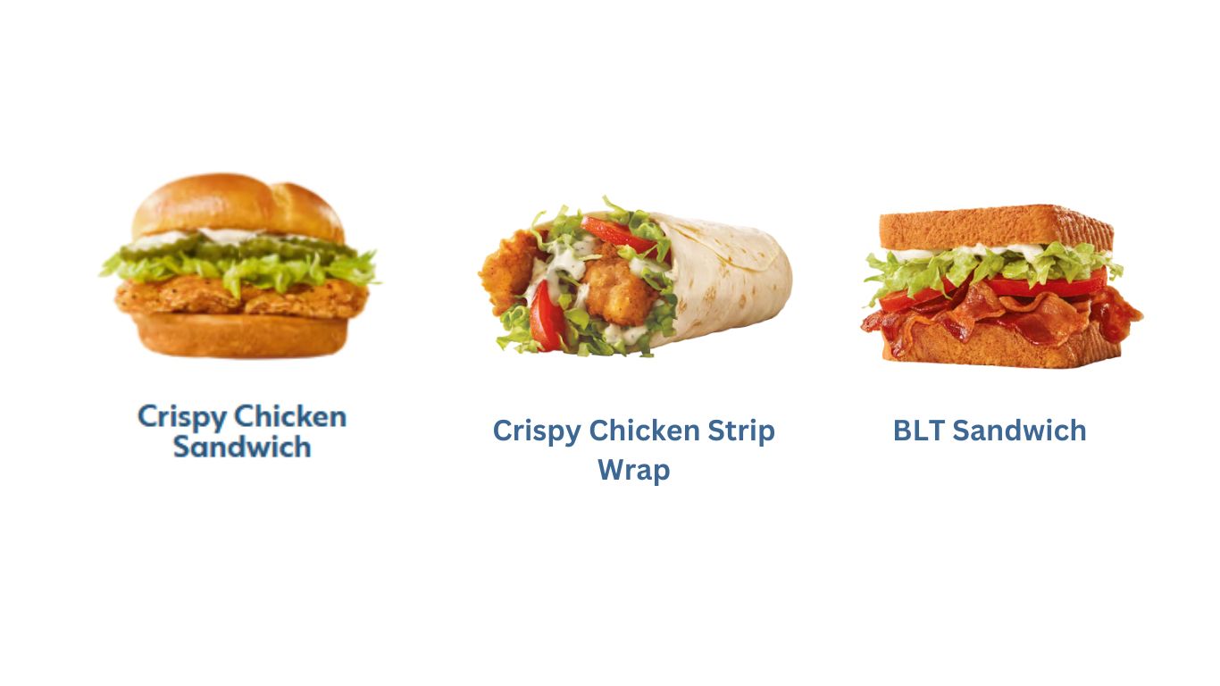 sonic-sandwich-and-wrap