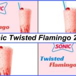 Sonic-Twisted-Flamingo
