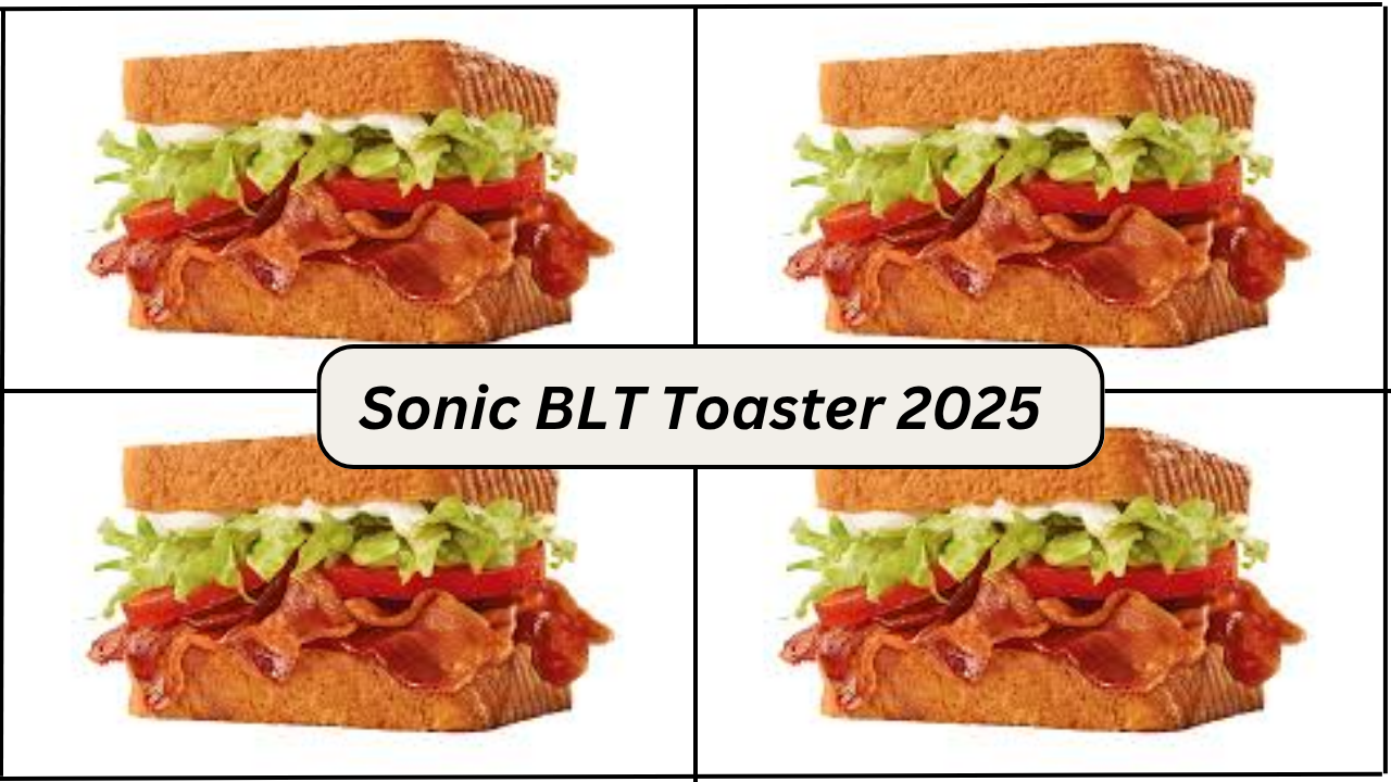Sonic-BLT-Toaster.